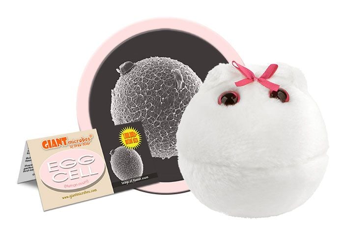 Egg Cell plush cluster