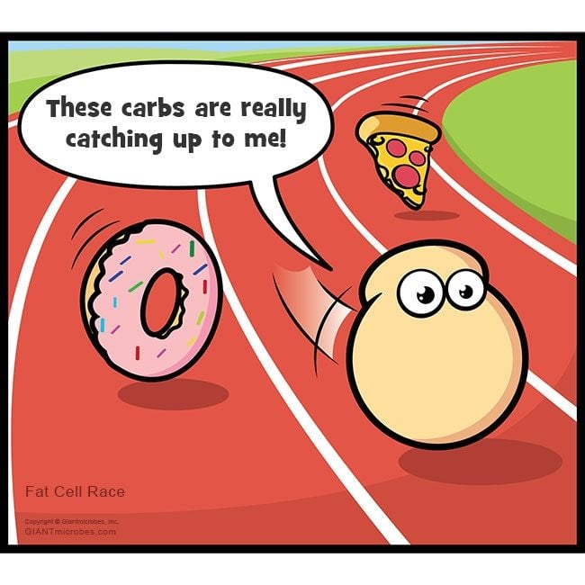 Fat Cell cartoon