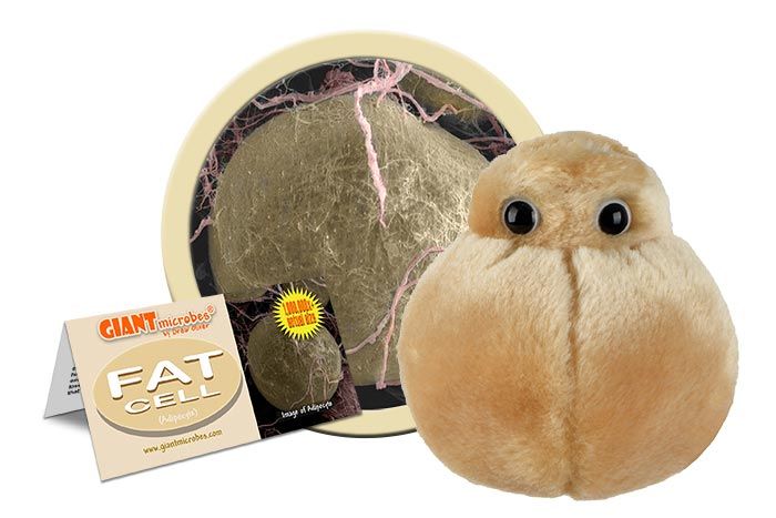 Fat Cell plush cluster