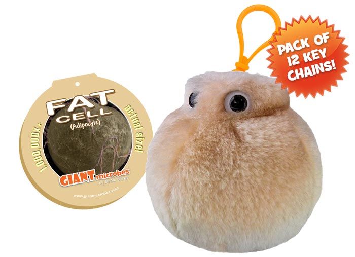 Fat Cell mini key chain pack