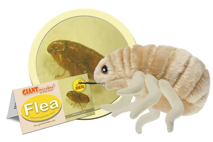 Flea plush cluster