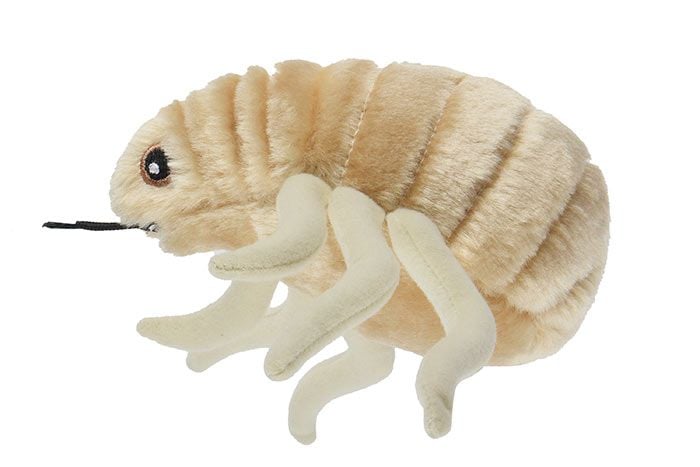 Flea plush side