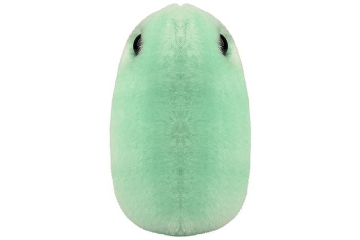 Flu plush doll front