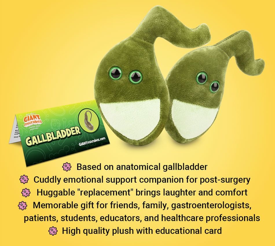 Gallbladder plush bullet points