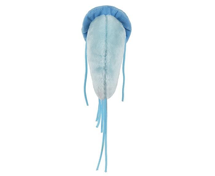 Giardia plush back