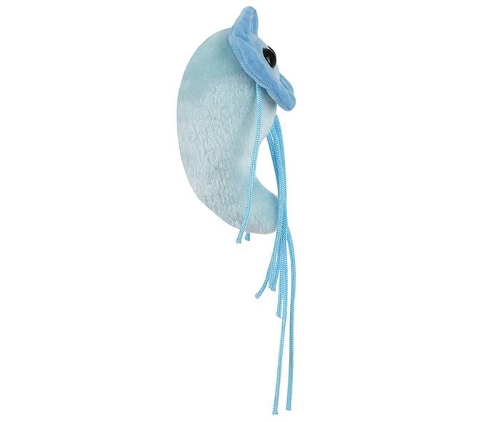 Giardia plush side