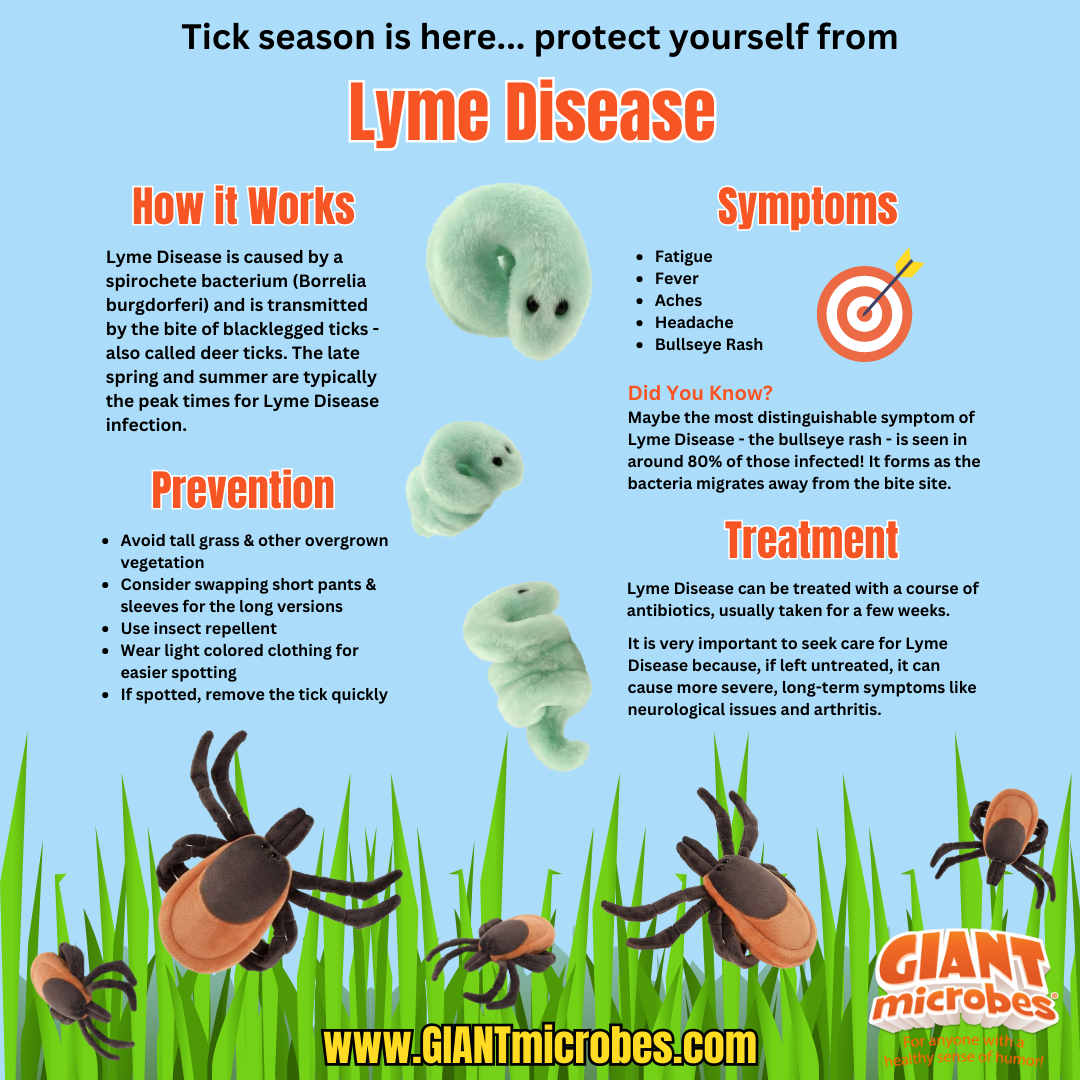 Tick and Lyme infographic