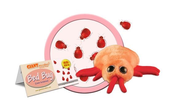 Bed bugs on stuffed animals store
