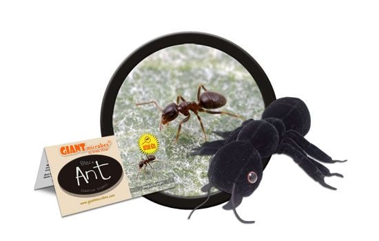 Ant plush hot sale