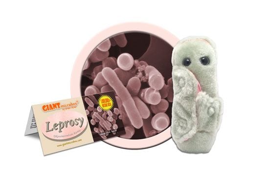 GIANTMICROBES ORIGINAL LEBBRA Mycobacterium leprae Leprosy Peluche virus batteri 