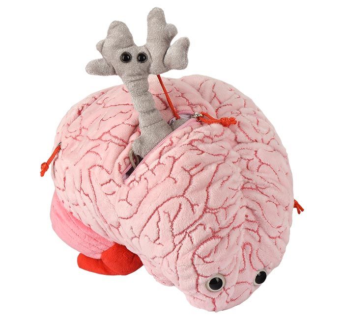 XL Brain Neuron mini
