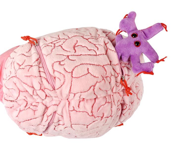 XL Brain Glial mini