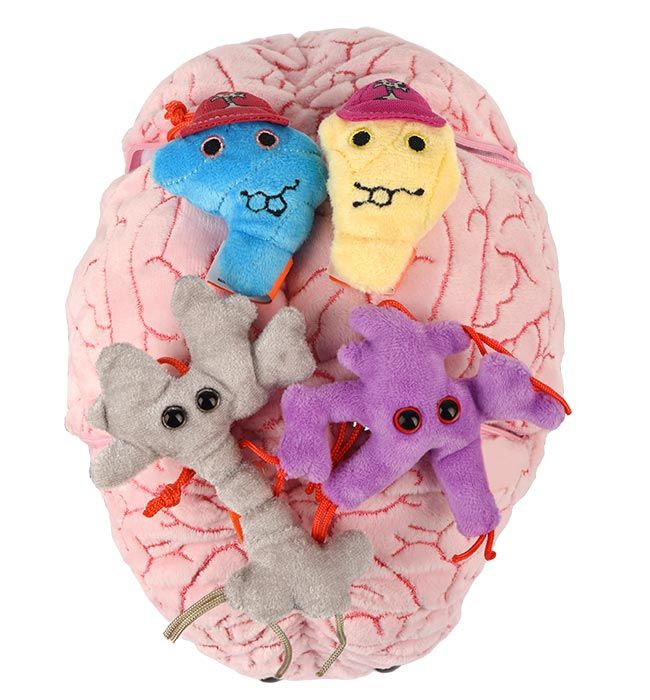 XL Brain top minis