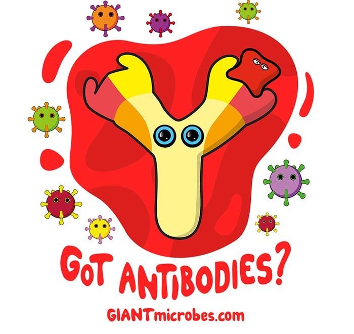 Got Antibodies? design