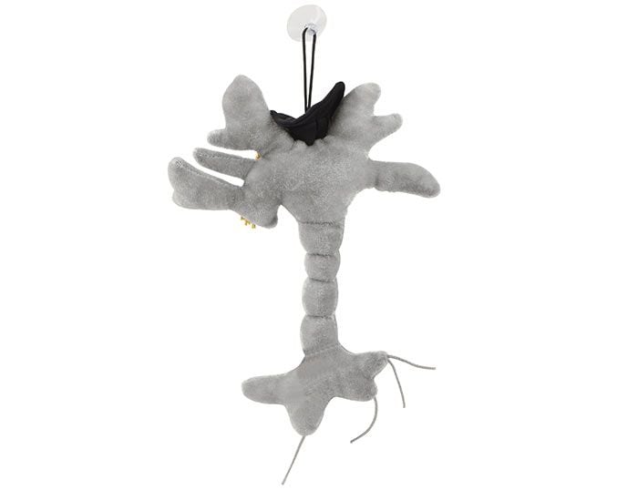 Graduation Brain Cell plush back