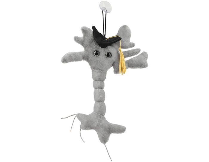 GIANT MICROBES-BRAIN CELL-Stuffed Plush Neuron Synapse Biology Medical Science 