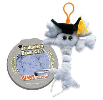 Brain Cell Graduation Key Chain