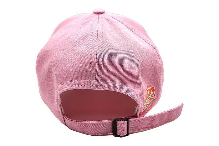 Got Antibodies hat pink back