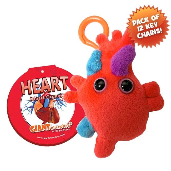 Heart Organ KC pack