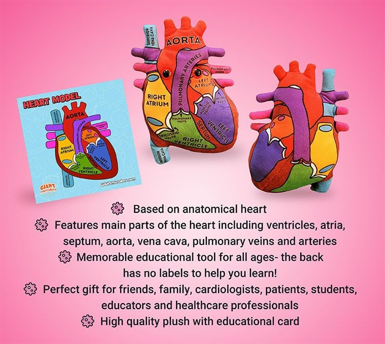 Heart Model bullets