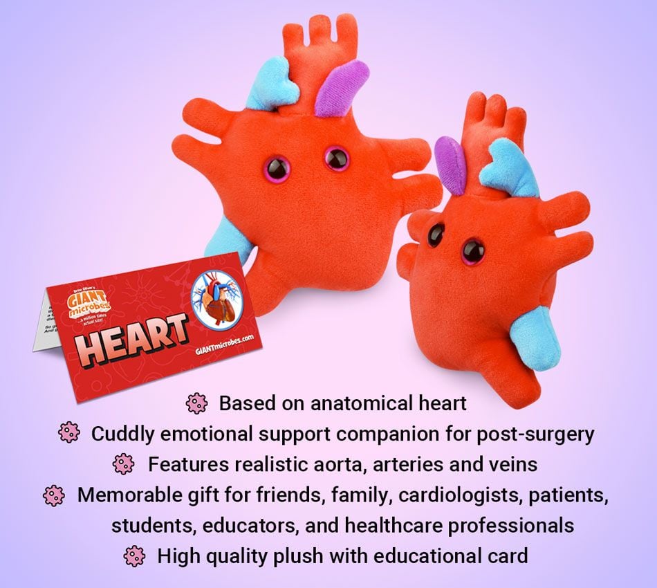 GIANT MICROBES-HEART TO HEART-Stuffed Plush Love Valentine Romance Science NEW! 