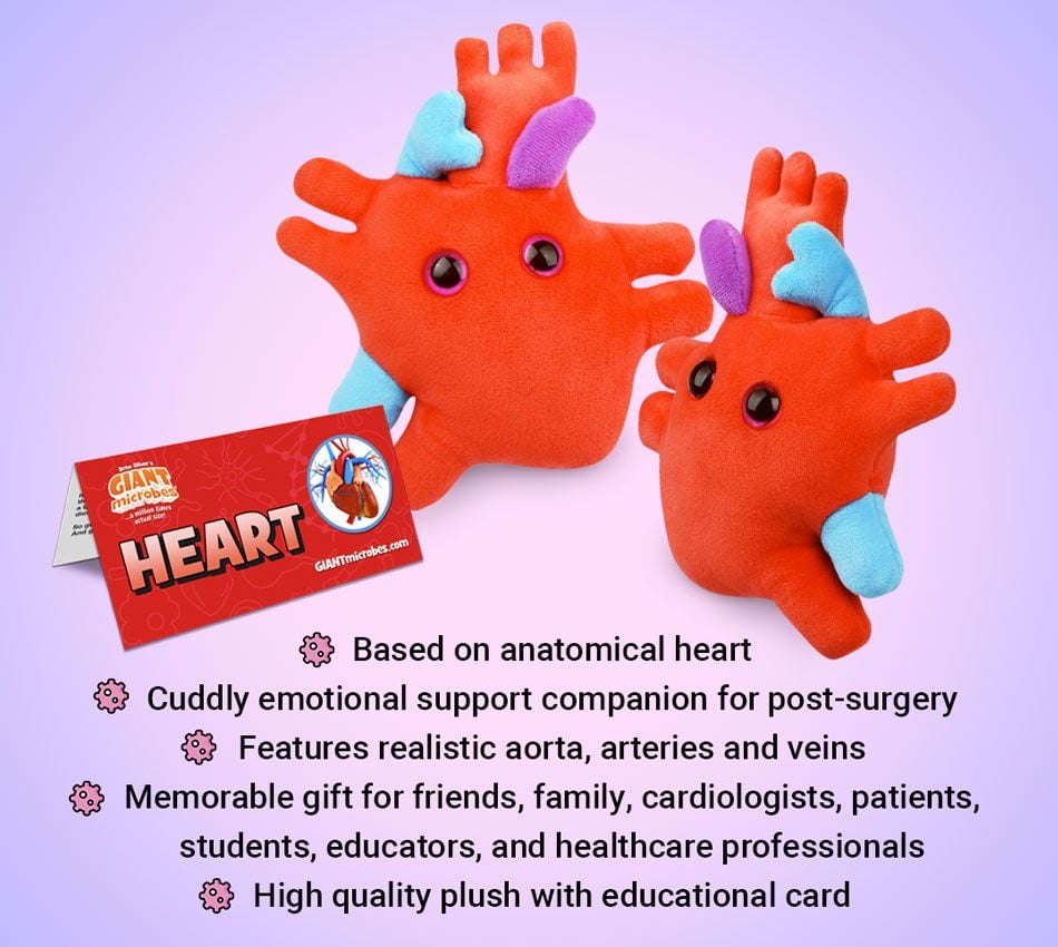 Heart plush bullet points