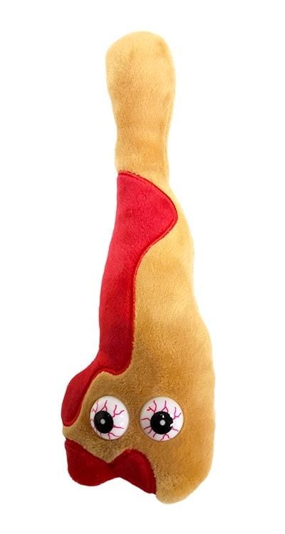 Hemorrhoid plush doll