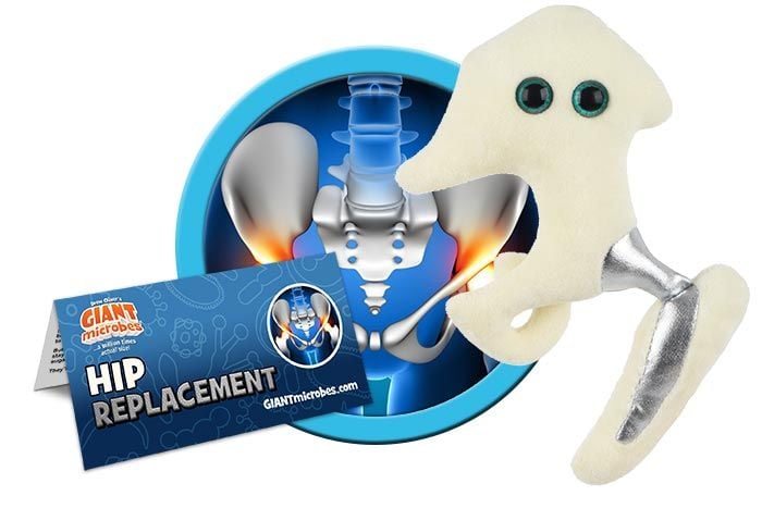 https://www.giantmicrobes.com/us/media/catalog/product/cache/ff90142cc55f9ca12447aeed7184b263/h/i/hip-replacement-cluster.jpg