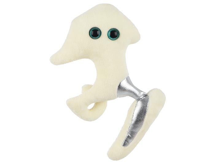 Hip Replacement plush front