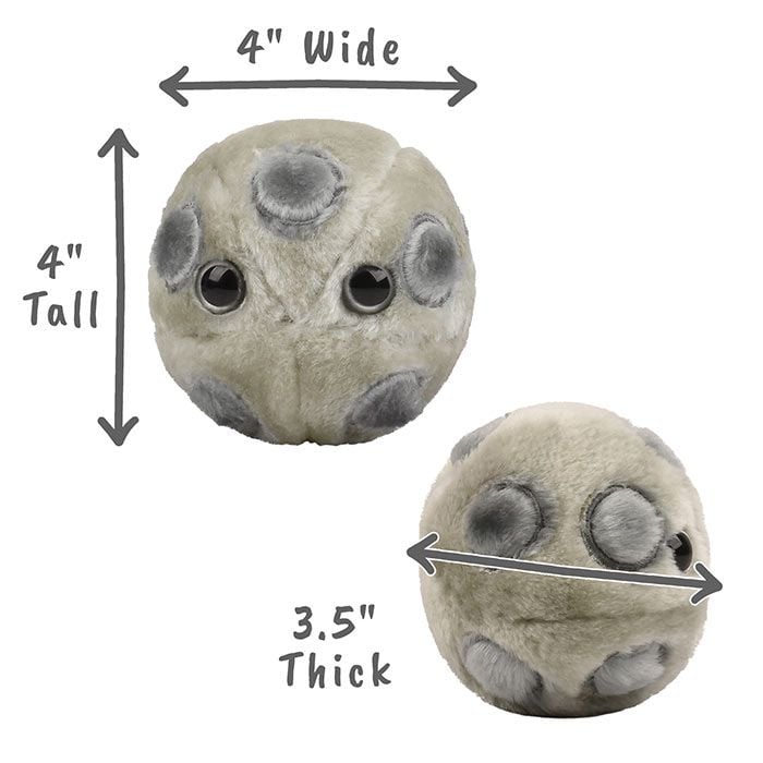 HPV plush dimensions