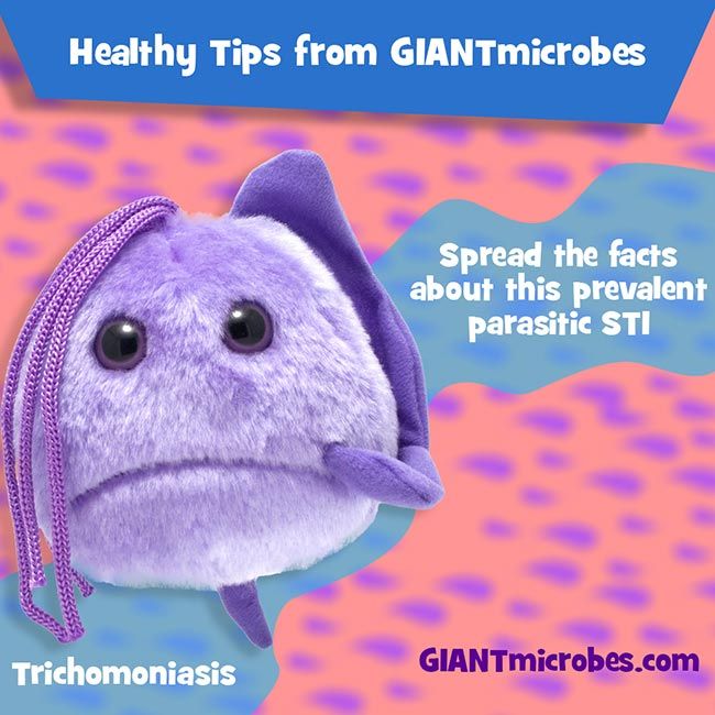 Healthy Tips Trichomoniasis