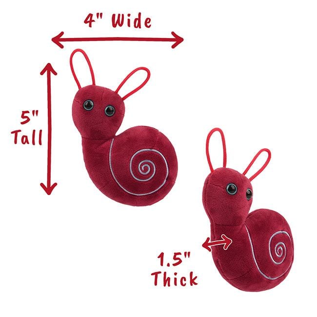 Inner Ear plush dimensions