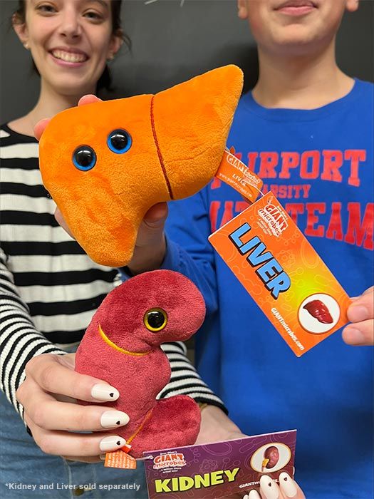 Kidney and Liver plush