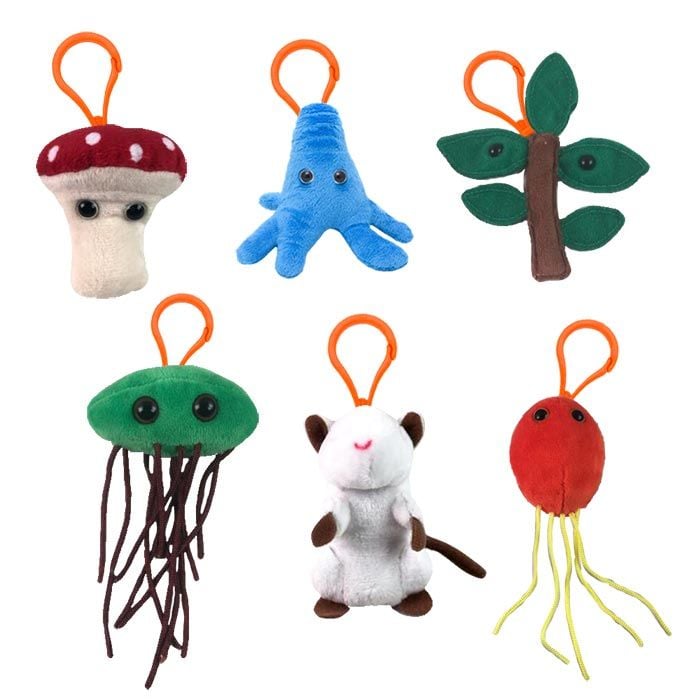 Kingdoms of Life mini key chains