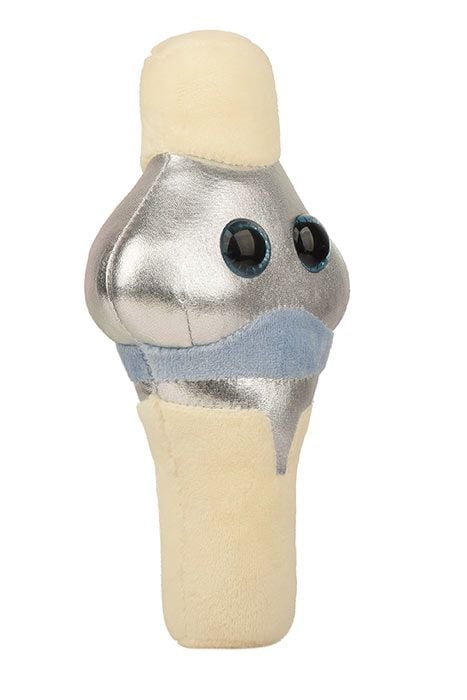 Knee Replacement plush angle