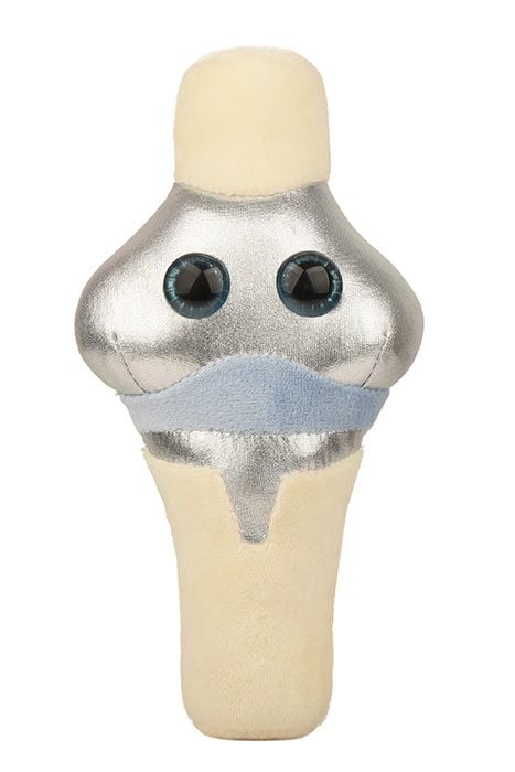 Anatomical Knee Joint Key Ring Keychain Femur Tibia 