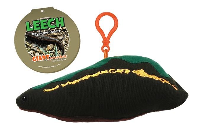 Leech plush key chain tag