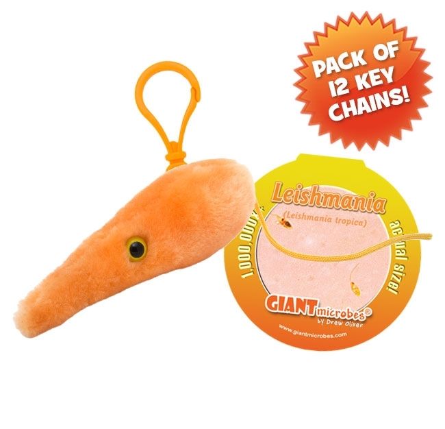 Leishmania keychain pack