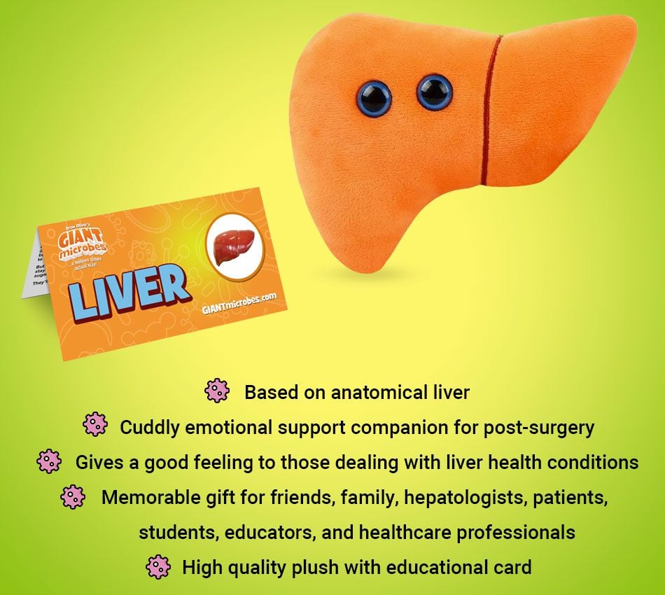 Liver plush bullet points