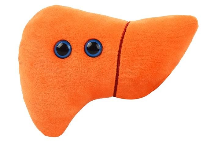 Liver plush front