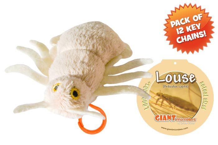 Louse key chain pack