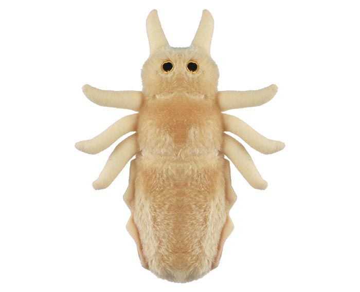 Louse plush top