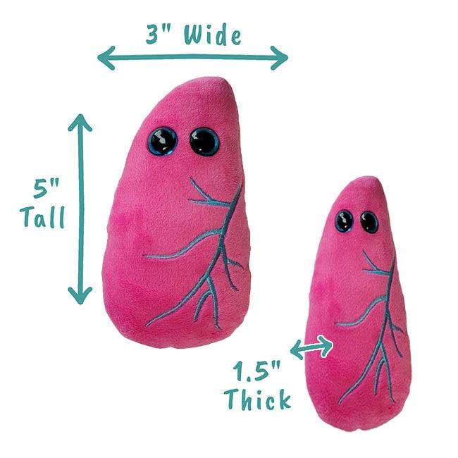 Lung plush dimensions