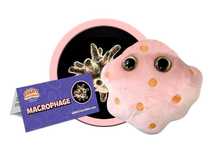 Macrophage plush cluster