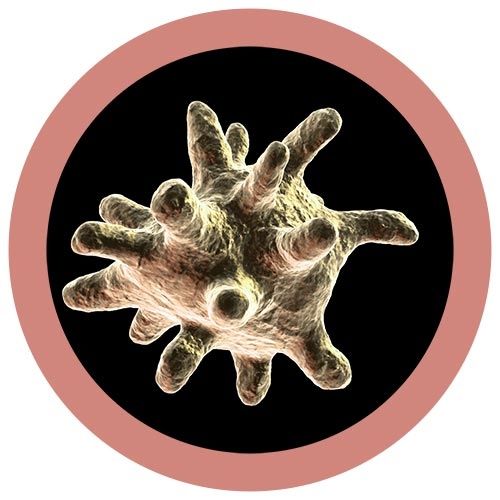 Microbial