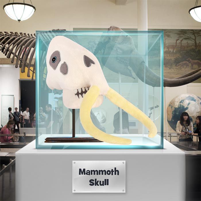 Woolly Mammoth plush museum glass