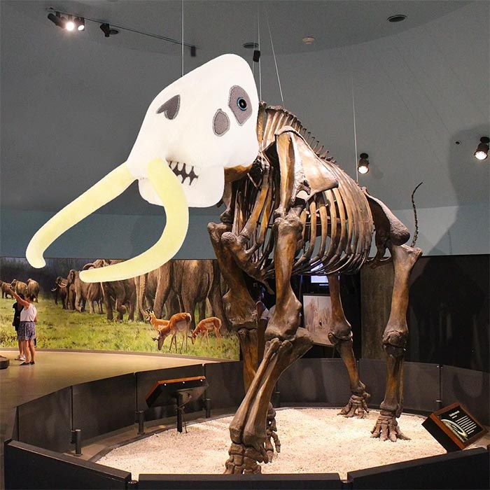 Woolly Mammoth plush skeleton