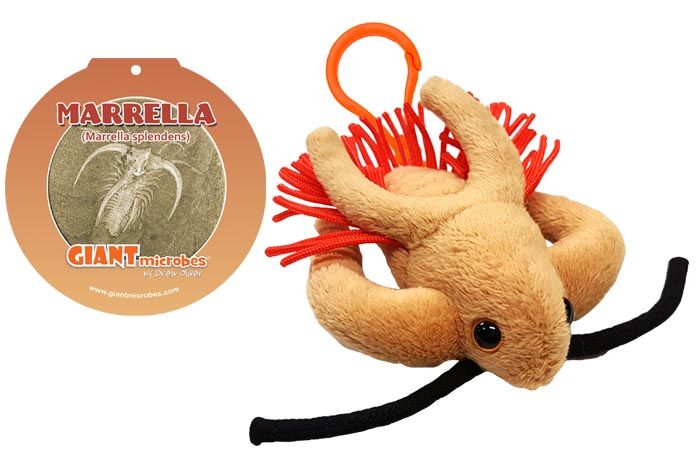 Marrella key chain with tag