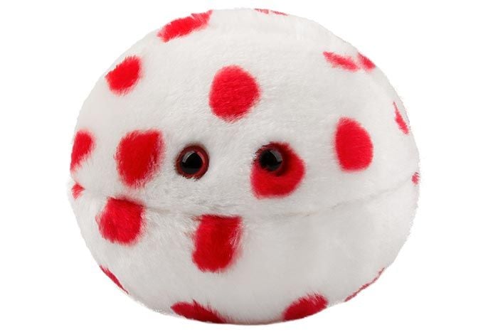 Measles plush doll front