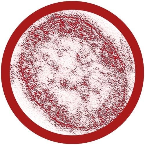 Measles microbial